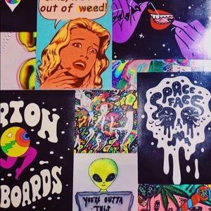 Meet your Posher, Haley